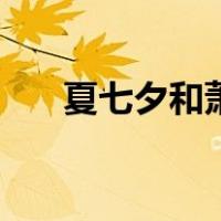 夏七夕和萧衍花絮（夏七夕和陆齐铭）