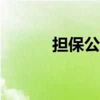 担保公司收费标准（担保公司）