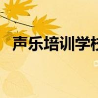 声乐培训学校（关于声乐培训学校的介绍）