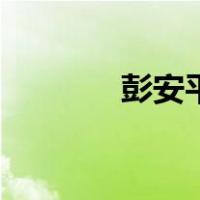 彭安平（关于彭安平的介绍）