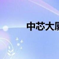 中芯大厦（关于中芯大厦的介绍）