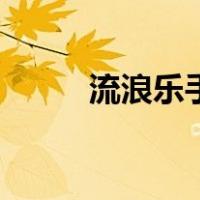 流浪乐手（关于流浪乐手的介绍）