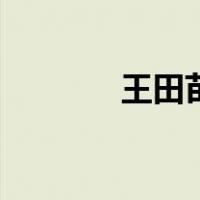 王田苗（关于王田苗的介绍）