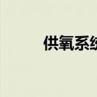 供氧系统（关于供氧系统的介绍）