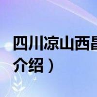 四川凉山西昌大火（关于四川凉山西昌大火的介绍）