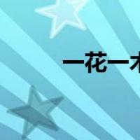 一花一木（关于一花一木的介绍）