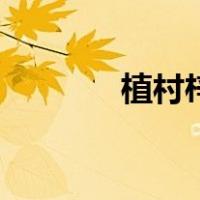 植村梓（关于植村梓的介绍）