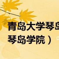 青岛大学琴岛学院艺术生录取分数（青岛大学琴岛学院）