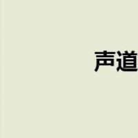 声道怎么调（声道怎么调）