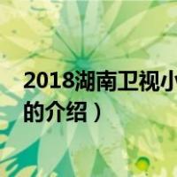 2018湖南卫视小年夜春晚（关于2018湖南卫视小年夜春晚的介绍）