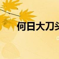 何日大刀头（关于何日大刀头的介绍）