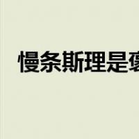 慢条斯理是褒义词还是贬义词（慢条斯理）