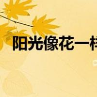 阳光像花一样（关于阳光像花一样的介绍）