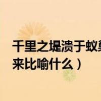 千里之堤溃于蚁巢常用来比喻什么（千里之堤毁于蚁穴常用来比喻什么）