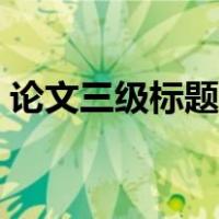 论文三级标题格式模板（论文三级标题格式）