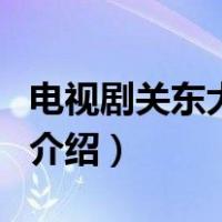 电视剧关东大先生（关于电视剧关东大先生的介绍）