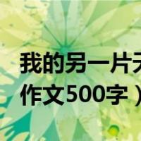 我的另一片天地作文500字（我的另一片天地作文500字）