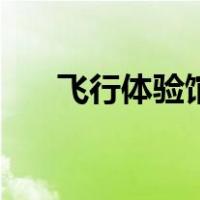 飞行体验馆（关于飞行体验馆的介绍）