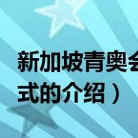 新加坡青奥会开幕式（关于新加坡青奥会开幕式的介绍）