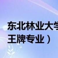 东北林业大学王牌专业有哪些（东北林业大学王牌专业）