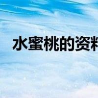 水蜜桃的资料（关于水蜜桃的资料的介绍）