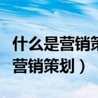 什么是营销策划书中的最主要的部分（什么是营销策划）