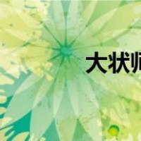 大状师（关于大状师的介绍）