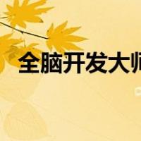 全脑开发大师（关于全脑开发大师的介绍）