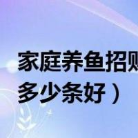 家庭养鱼招财鱼养几条最好（招财鱼一般要养多少条好）