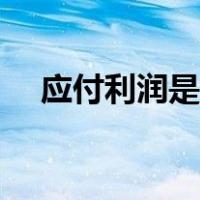 应付利润是什么（应付利润是什么科目）