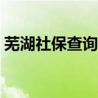 芜湖社保查询数据出错（芜湖社保查询官网）