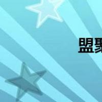 盟聚（关于盟聚的介绍）