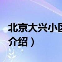 北京大兴小区火灾（关于北京大兴小区火灾的介绍）