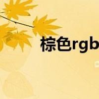 棕色rgb值分别是多少（棕色rgb）