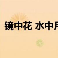 镜中花 水中月（关于镜中花 水中月的介绍）