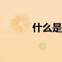 什么是行程卡（什么是行纪人）