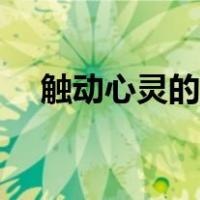 触动心灵的力量作文（触动心灵的力量）
