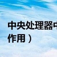 中央处理器中什么是指挥中心（中央处理器的作用）