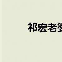祁宏老婆（关于祁宏老婆的介绍）
