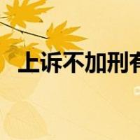 上诉不加刑有例外吗（上诉不加刑的例外）