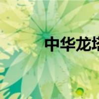 中华龙塔（关于中华龙塔的介绍）