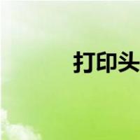 打印头堵塞原理（打印头堵塞）