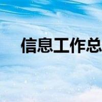 信息工作总结报告（信息工作总结范文）
