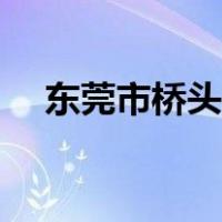 东莞市桥头镇邮政编码（东莞市桥头镇）
