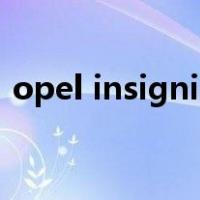 opel insignia（关于opel insignia的介绍）