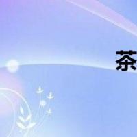 茶的历史（茶的历史）