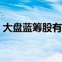 大盘蓝筹股有哪些品牌（大盘蓝筹股有哪些）