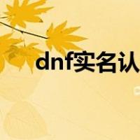 dnf实名认证怎么填写（dnf实名认证）
