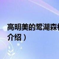 高明美的鹭湖森林度假区（关于高明美的鹭湖森林度假区的介绍）