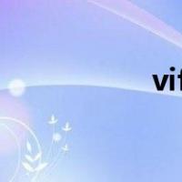 vifi（关于vifi的介绍）